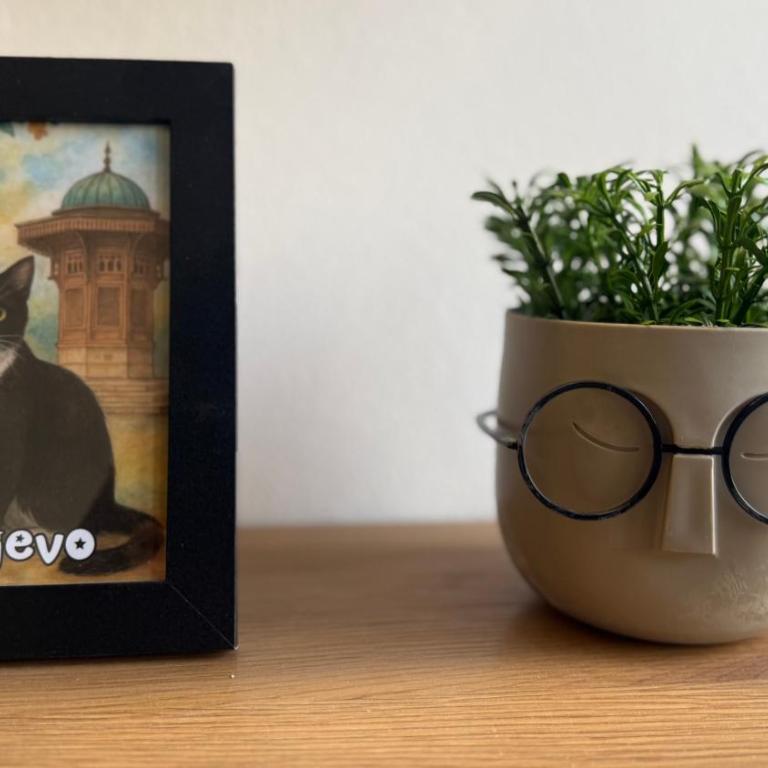 Apartmani Kaldrma - Apartman sa 1 Spavaćom Sobom - 6