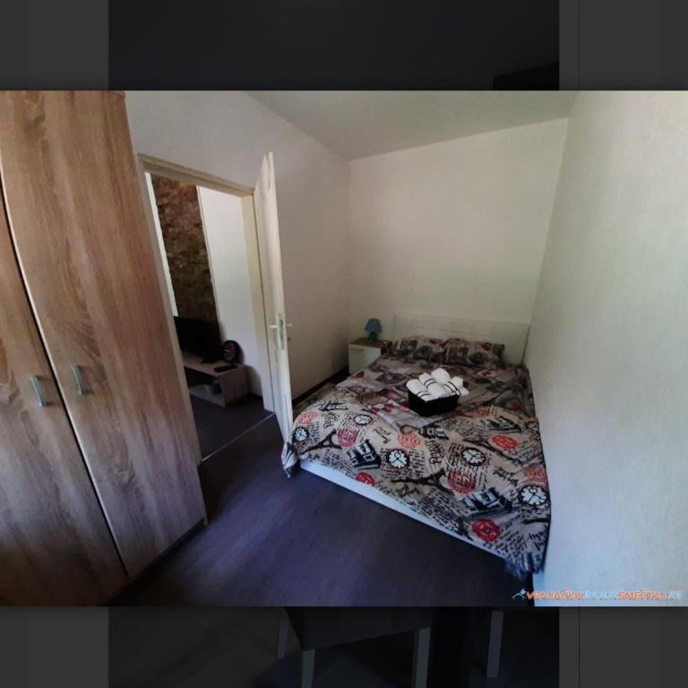 Vila Trnavac - Apartman sa 1 Spavaćom Sobom - 3