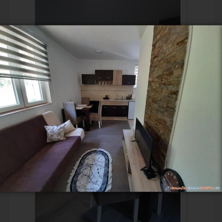 Vila Trnavac - Apartman sa 1 Spavaćom Sobom - 4