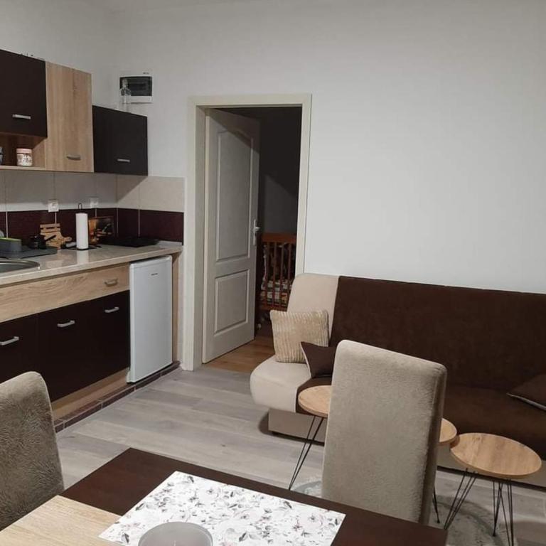 Vila Trnavac - Apartman sa 1 Spavaćom Sobom - 4