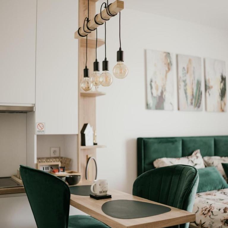 D Mol Studio apartman - Deluxe One-Bedroom Apartment with City View - 11