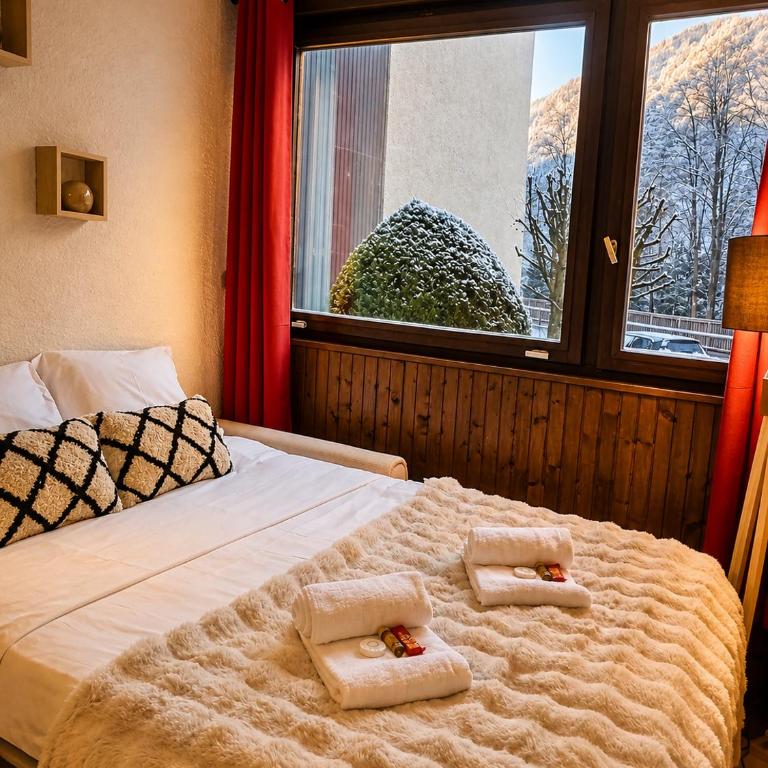 Chamonix : Studio intime au bord du lac des Gaillands et pistes de ski - Apartamento de 1 dormitorio - 2