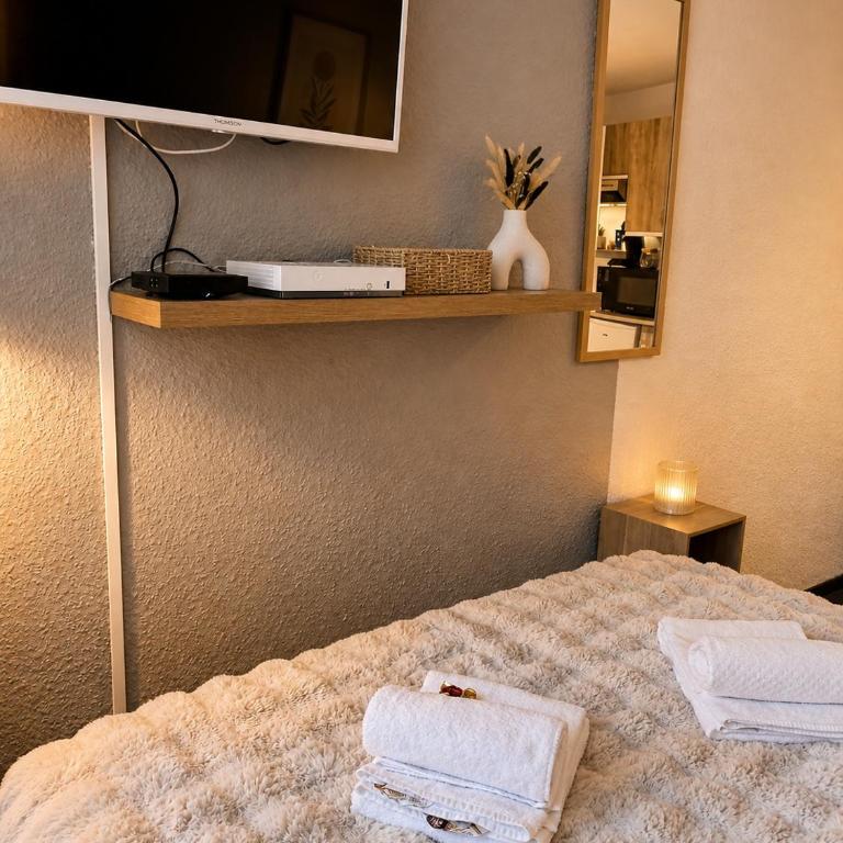 Chamonix : Studio intime au bord du lac des Gaillands et pistes de ski - Apartamento de 1 dormitorio - 3