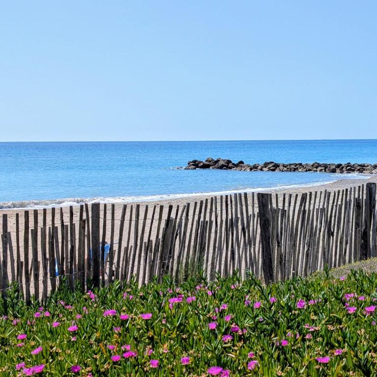 Studio Vue mer, Piscine, Wifi, Climatisation, Parking privé, Terrasse 1ère ligne - La Coulée Douce - Appartement - Vue sur Mer - 32