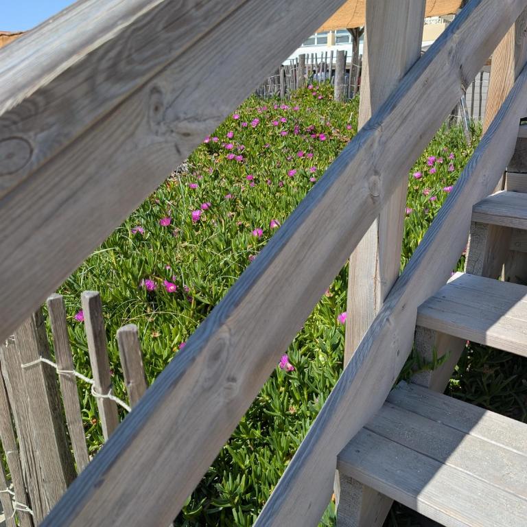 Studio Vue mer, Piscine, Wifi, Climatisation, Parking privé, Terrasse 1ère ligne - La Coulée Douce - Appartement - Vue sur Mer - 38