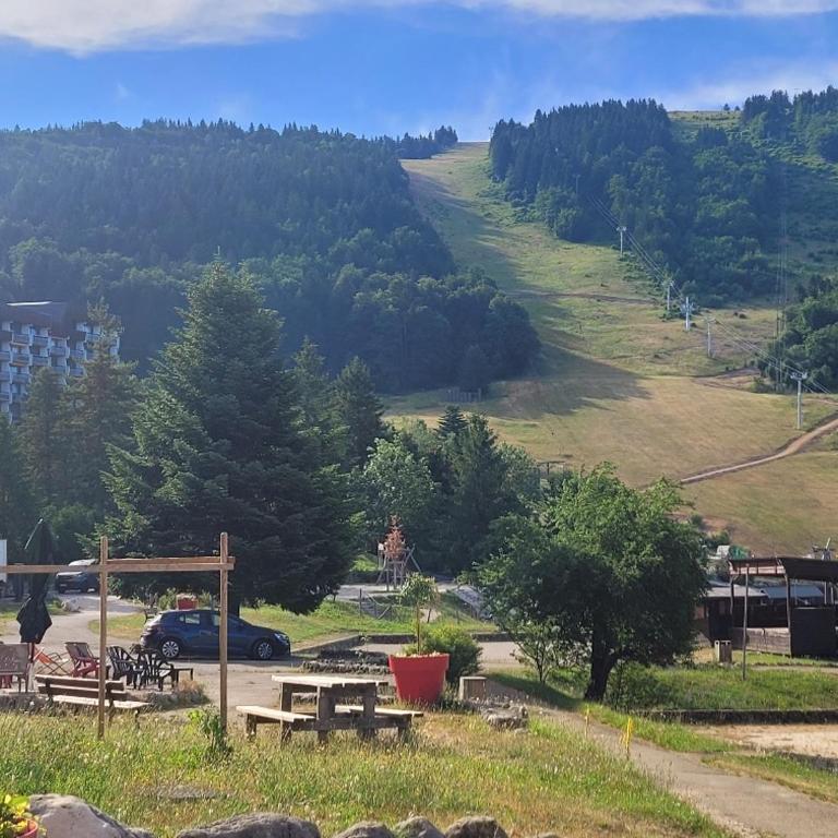 Lumineux 2 pièces vue montagne au pied des pistes avec parking privé - Appartamento con 1 Camera da Letto - 19