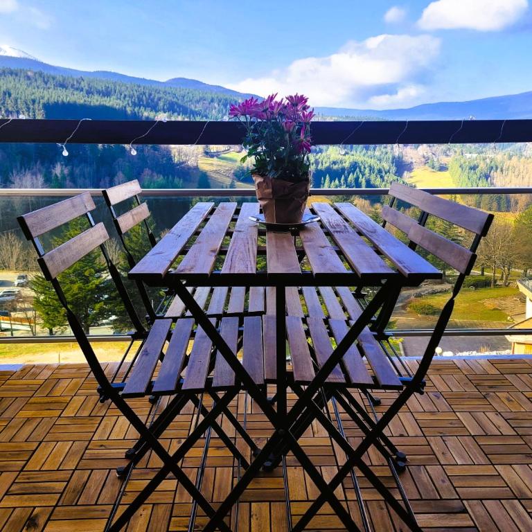 Lumineux 2 pièces vue montagne au pied des pistes avec parking privé - Appartamento con 1 Camera da Letto - 1