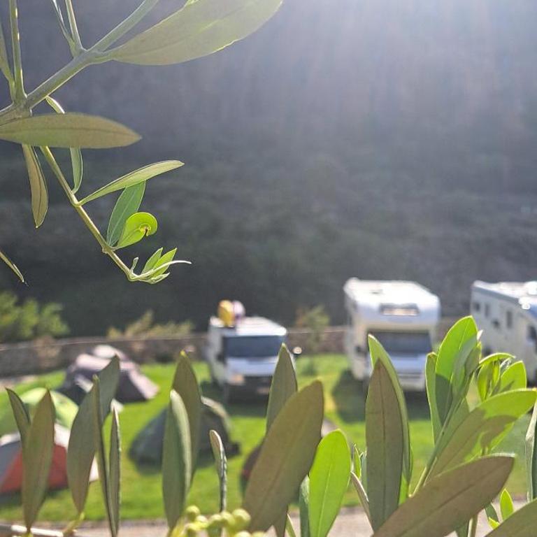 Auto kamp Titograd - Dvokrevetna Soba sa Bračnim Krevetom i Pogledom na Planinu - 1
