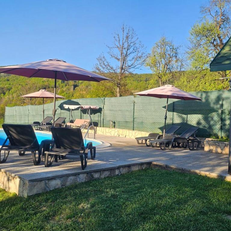 Green Oasis Apartment - Vila sa Sopstvenim Bazenom - 13
