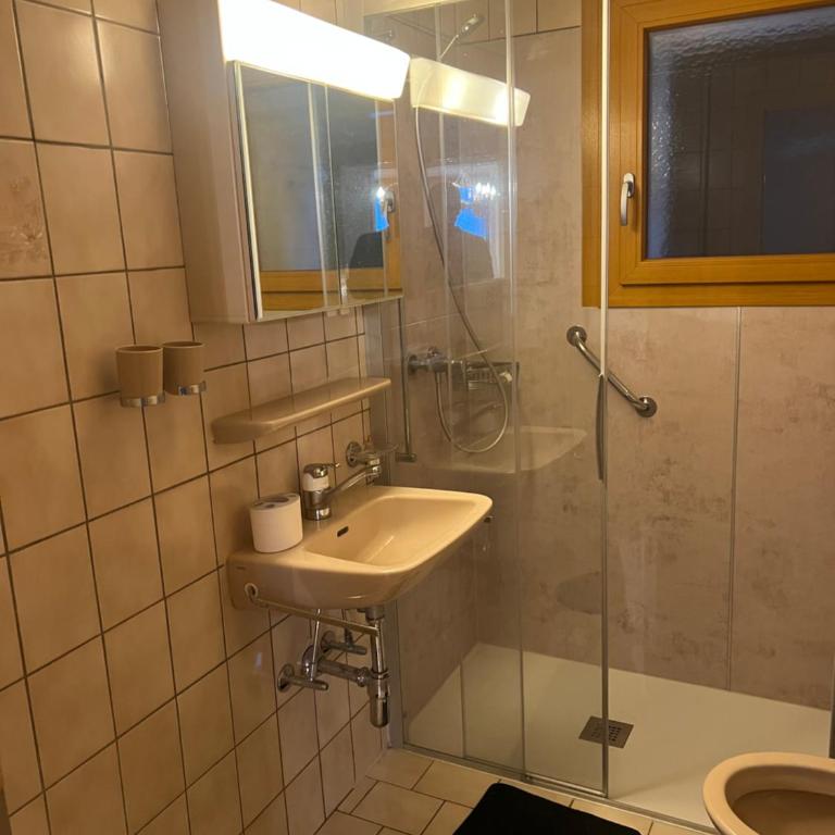 Cosy and quiet near to Sion - Apartment mit 2 Schlafzimmern - 9