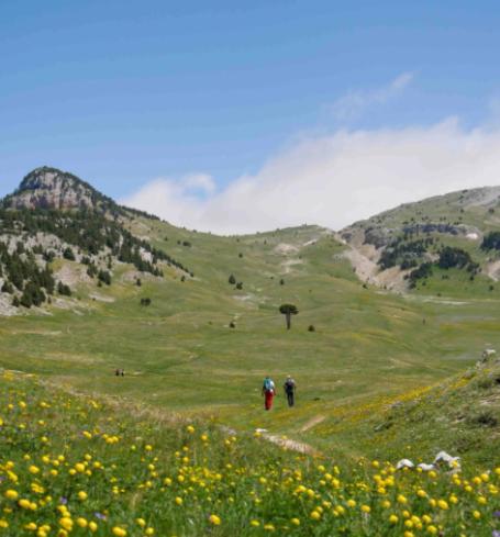 Lumineux 2 pièces vue montagne au pied des pistes avec parking privé - Appartamento con 1 Camera da Letto - 24