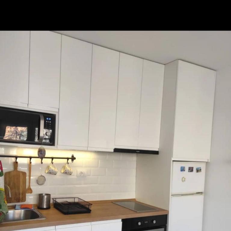 Studio Banovo brdo - Apartman sa 1 Spavaćom Sobom - 3