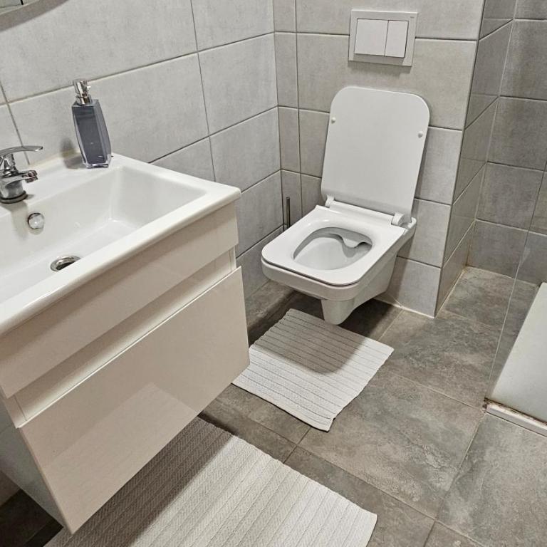 Apartman Centar BL - Apartman sa 1 Spavaćom Sobom - 10