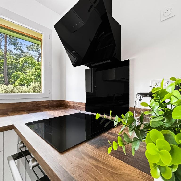 T2 moderne avec balcon et stationnement gratuit - One-Bedroom Apartment - 12