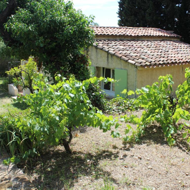 Petite maison sous les oliviers à Sanary - Haus mit 2 Schlafzimmern - 6