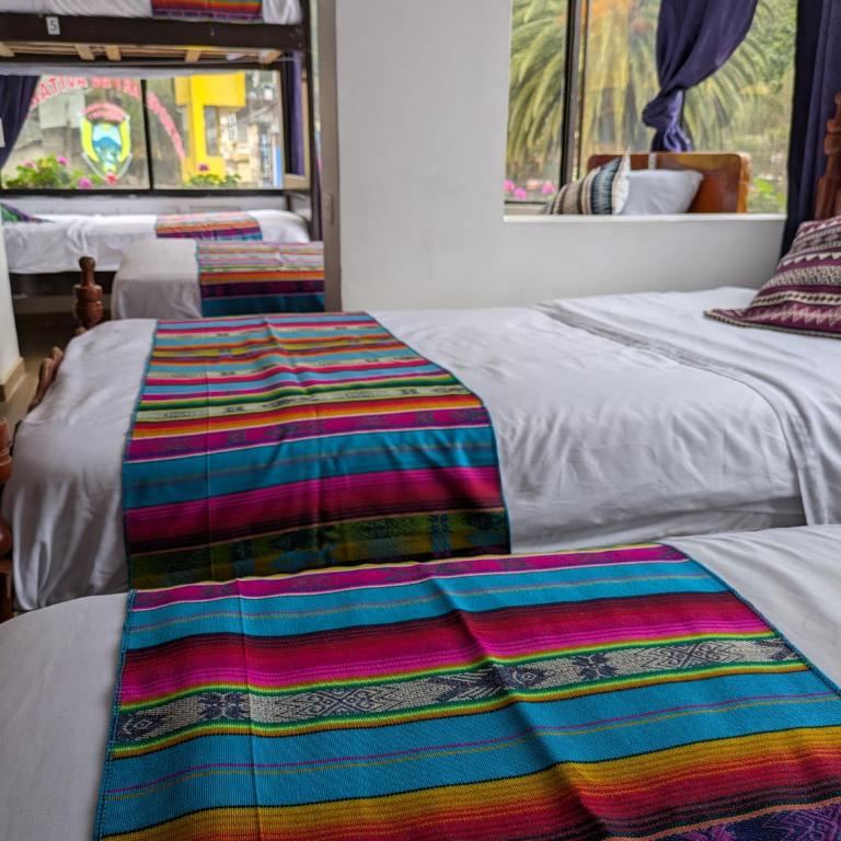 Crater Eruption Backpacker Hostel - Bed in 6-Bed Mixed Dormitory Room - 1
