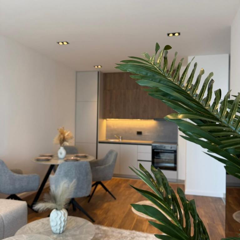Exclusive Penthouse 1 - Apartment mit 1 Schlafzimmer - 1