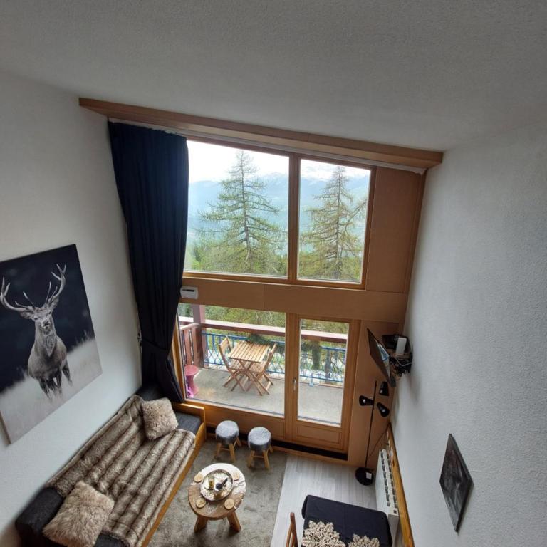 RESIDENCE LE RUITOR Duplex dernier étage vue panoramique classé 4 Cristaux Paradiski Piscine privée chauffée en ETE - Appartement en Duplex - 2