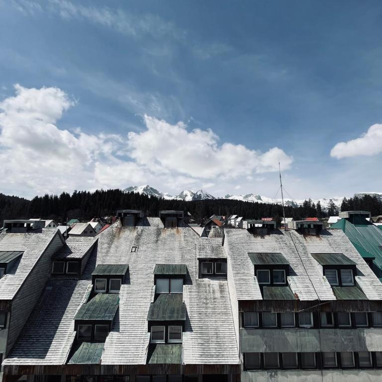 Durmitor nest - Apartman sa 2 Spavaće Sobe - 14