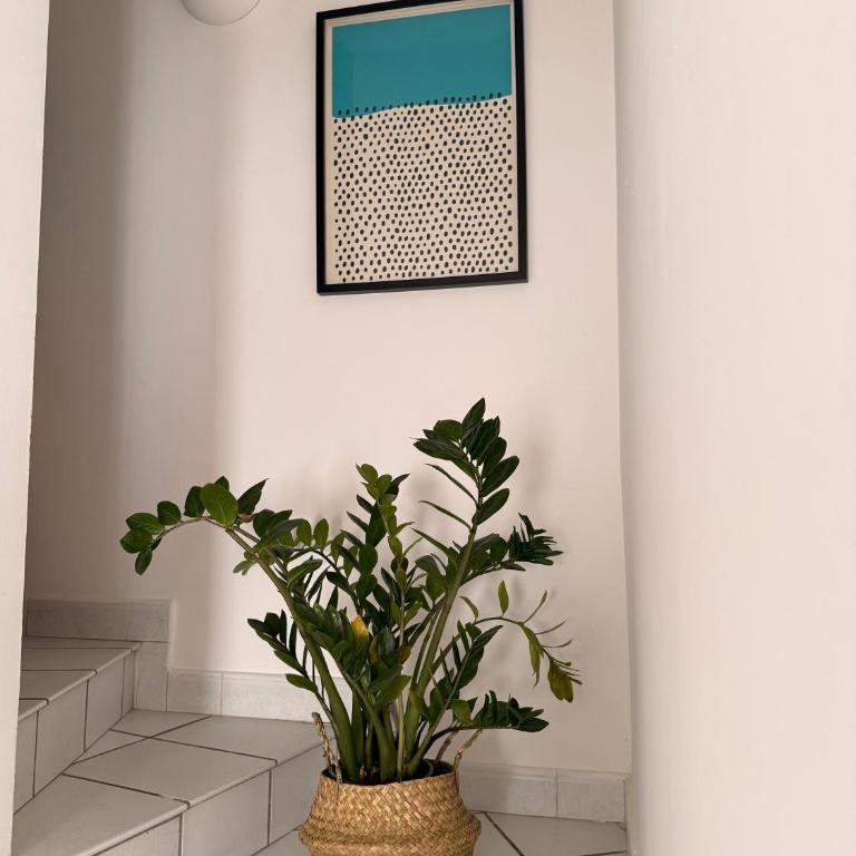 Babahouse - Casa Vacanze - 11