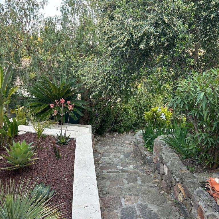Villa Piscine proche plages Mandelieu-Cannes - Villa - 39