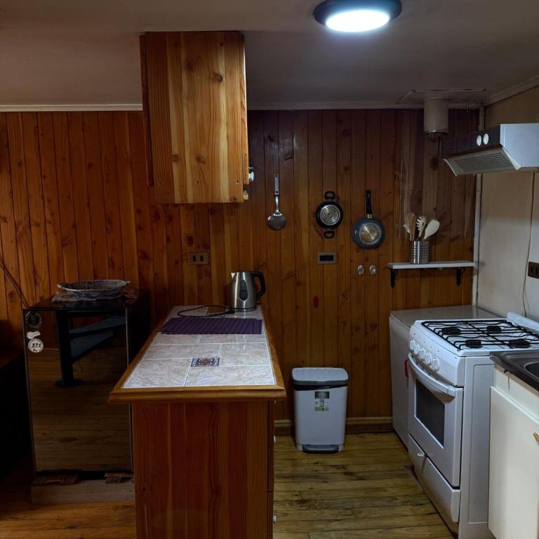 Beautiful and cozy cabin in Puerto Varas - Two-Bedroom Apartment - 8