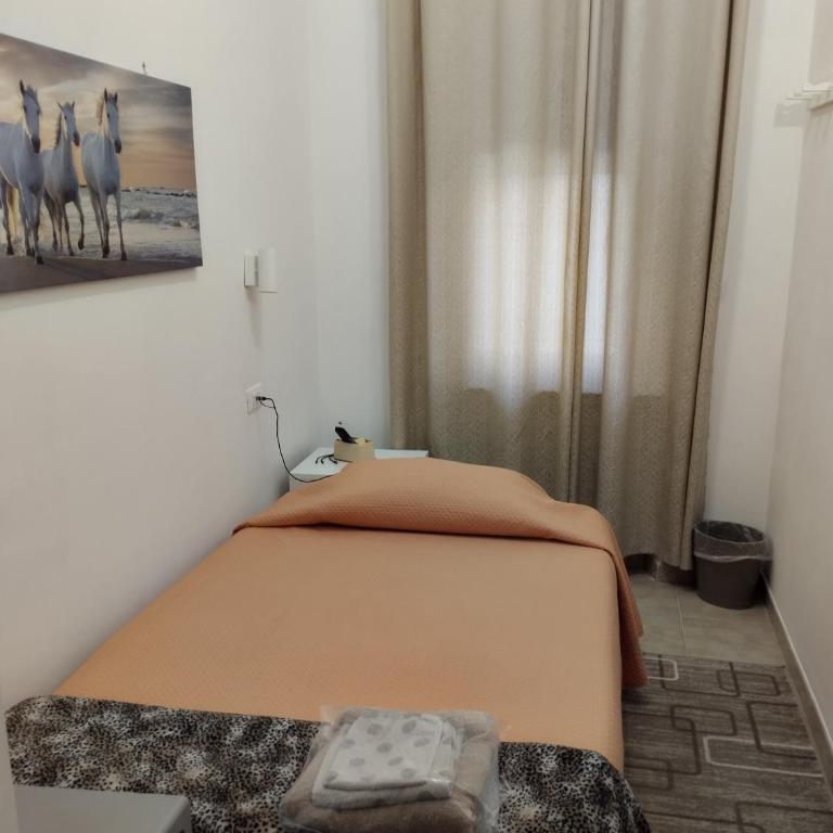 Sole Luna B&B - Camera Singola con Bagno Privato - 2