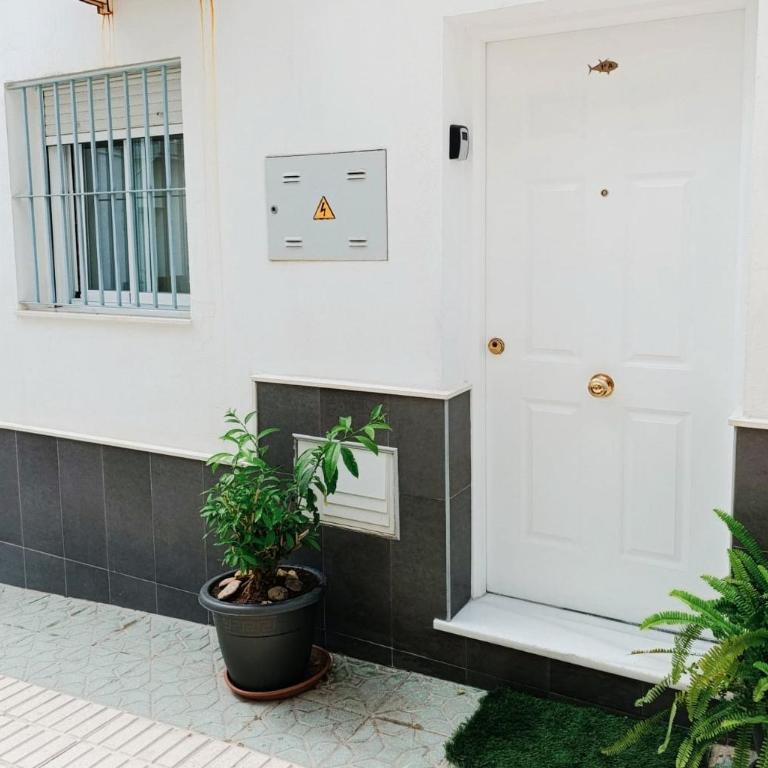 Apartment Barbate - Apartamento de 2 dormitorios - 4