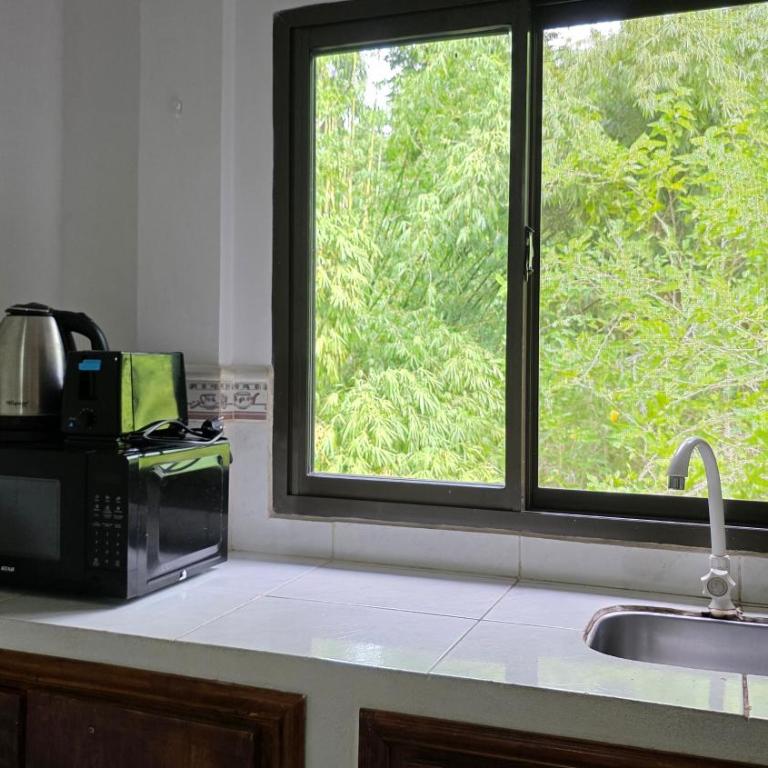 Departamento Céntrico con Balcón y Pileta en Puerto Iguazú - Apartamento con vistas a la piscina - 8