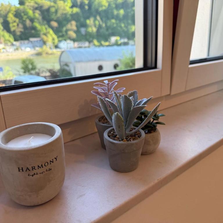 Donau-Loft near City and Highway - Apartment mit 1 Schlafzimmer - 22