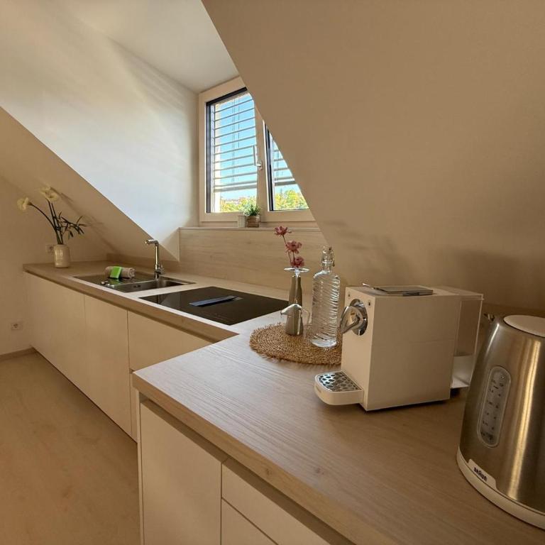 Donau-Loft near City and Highway - Apartment mit 1 Schlafzimmer - 10