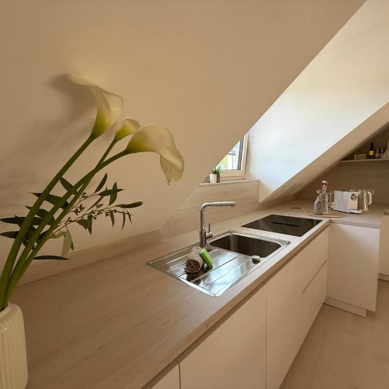 Donau-Loft near City and Highway - Apartment mit 1 Schlafzimmer - 8
