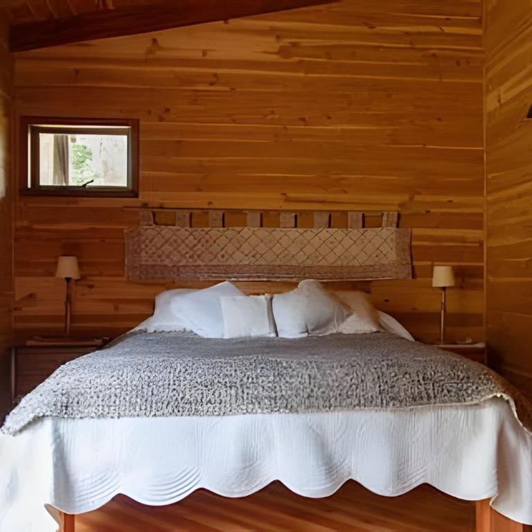 Dream Home Amid Native Trees - Three-Bedroom House - 2