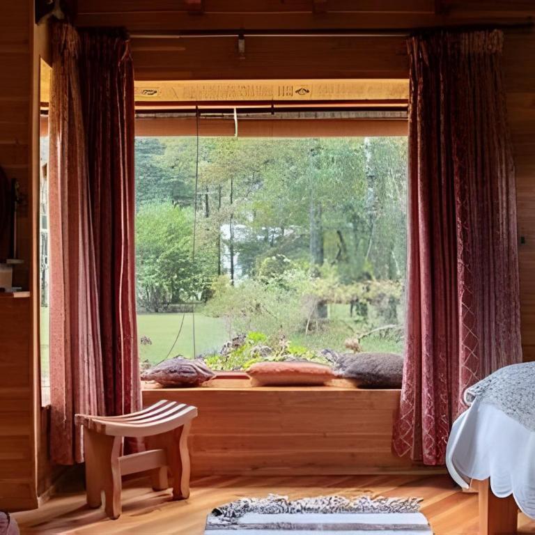 Dream Home Amid Native Trees - Three-Bedroom House - 3