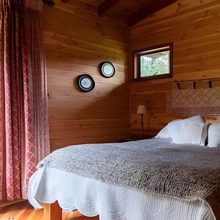 Dream Home Amid Native Trees - Three-Bedroom House - 5