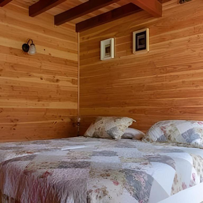 Dream Home Amid Native Trees - Three-Bedroom House - 13
