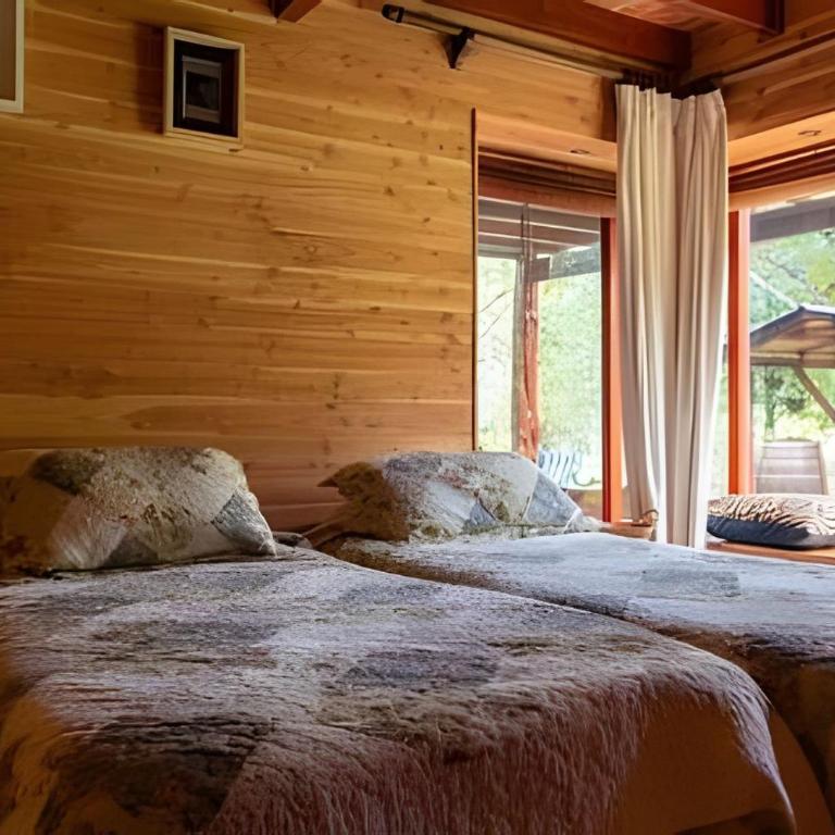 Dream Home Amid Native Trees - Three-Bedroom House - 15