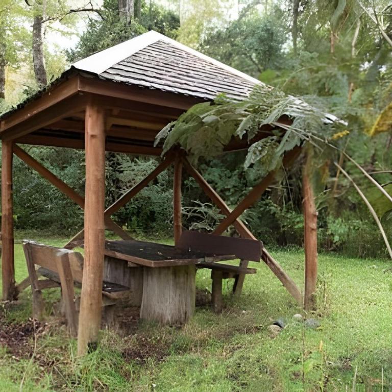 Dream Home Amid Native Trees - Three-Bedroom House - 26