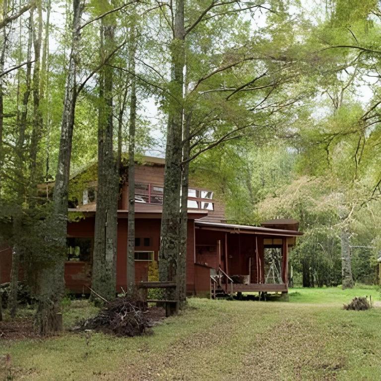 Dream Home Amid Native Trees - Three-Bedroom House - 29