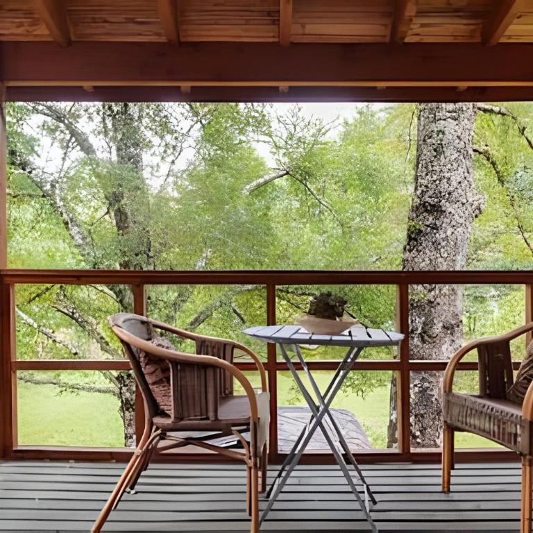 Dream Home Amid Native Trees - Three-Bedroom House - 30