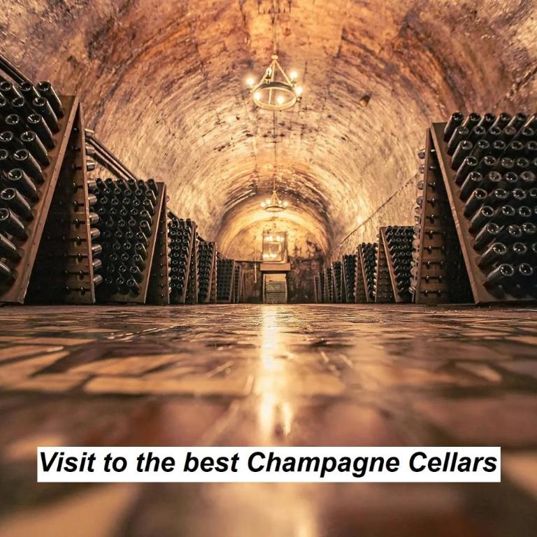 Les bulles insolites - Maison 2 Chambres - 11