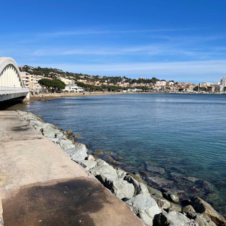 Ville et plage a pied, air conditionné et parking privé, Baie de St Tropez - Apartment mit 1 Schlafzimmer - 26