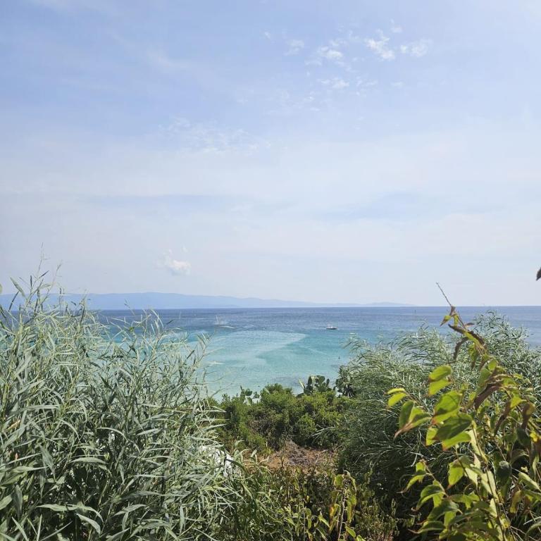 Family apartment in Ajaccio - Appartamento con 2 Camere da Letto - 4