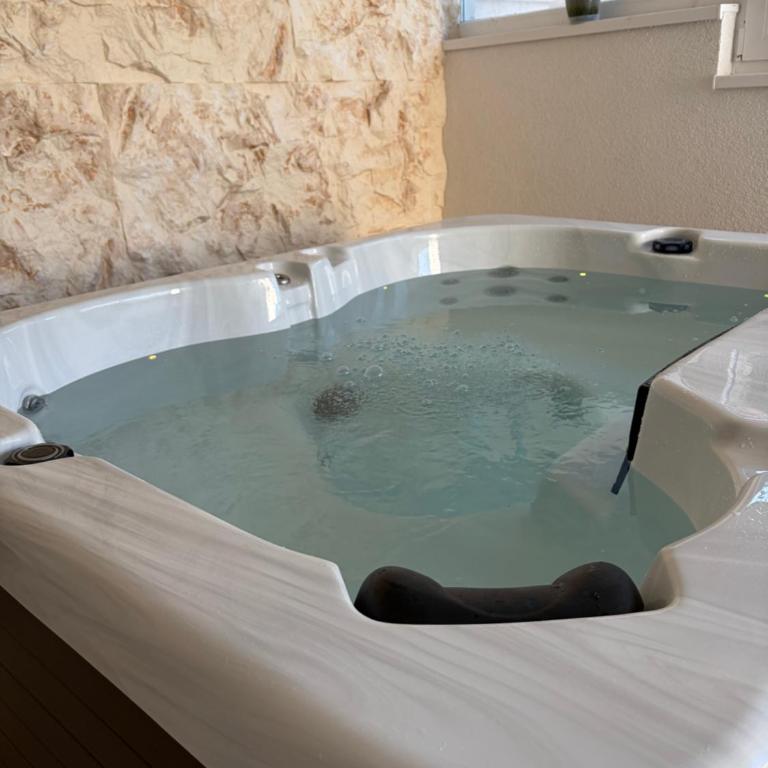 White House & Spa - Vila - 66