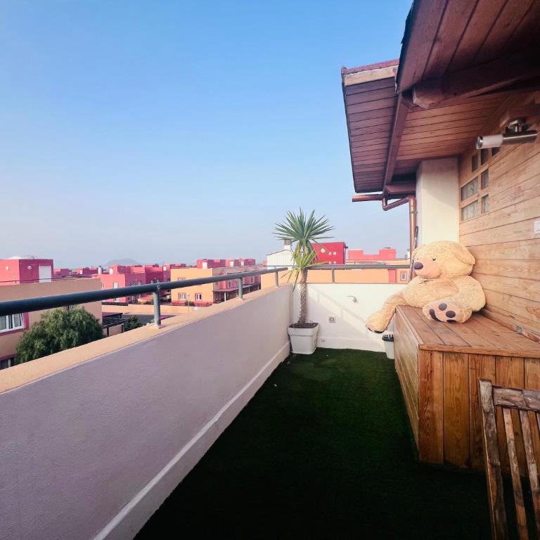 El mirador de las dunas - Apartamento de 1 dormitorio - 2