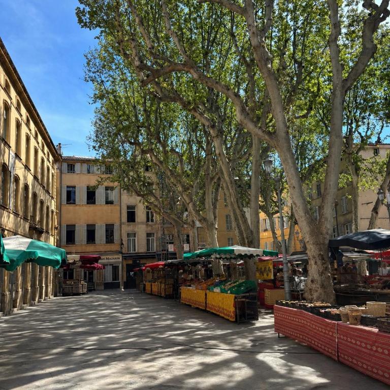 Aix-en-Provence, Cosy studio au calme de la campagne avec Spa et Clim - Apartment mit 1 Schlafzimmer - 62
