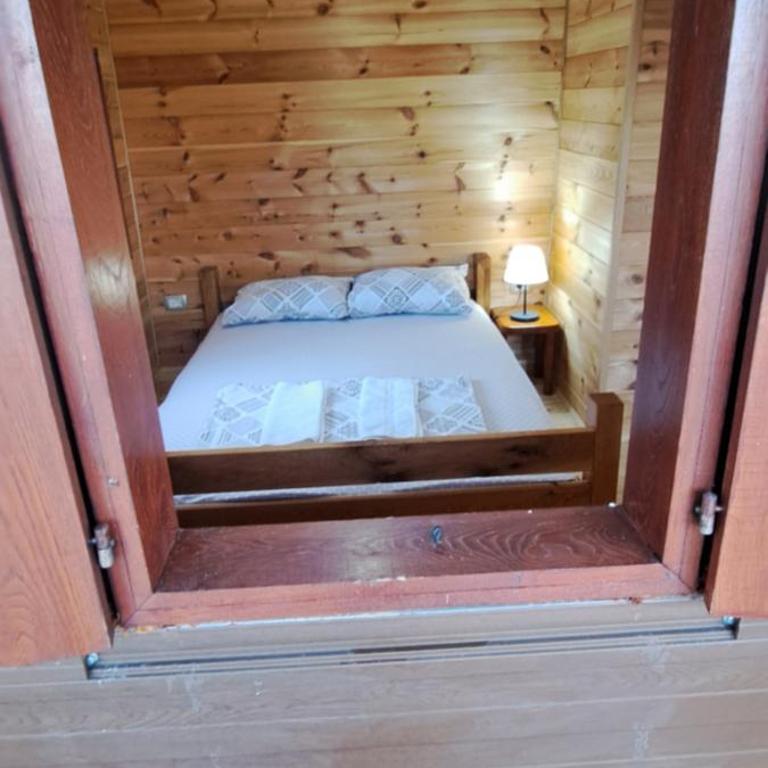 TreeHouse - One-Bedroom Chalet - 2