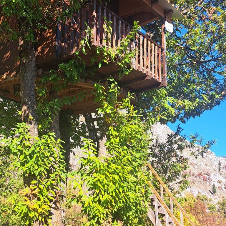 TreeHouse - One-Bedroom Chalet - 3