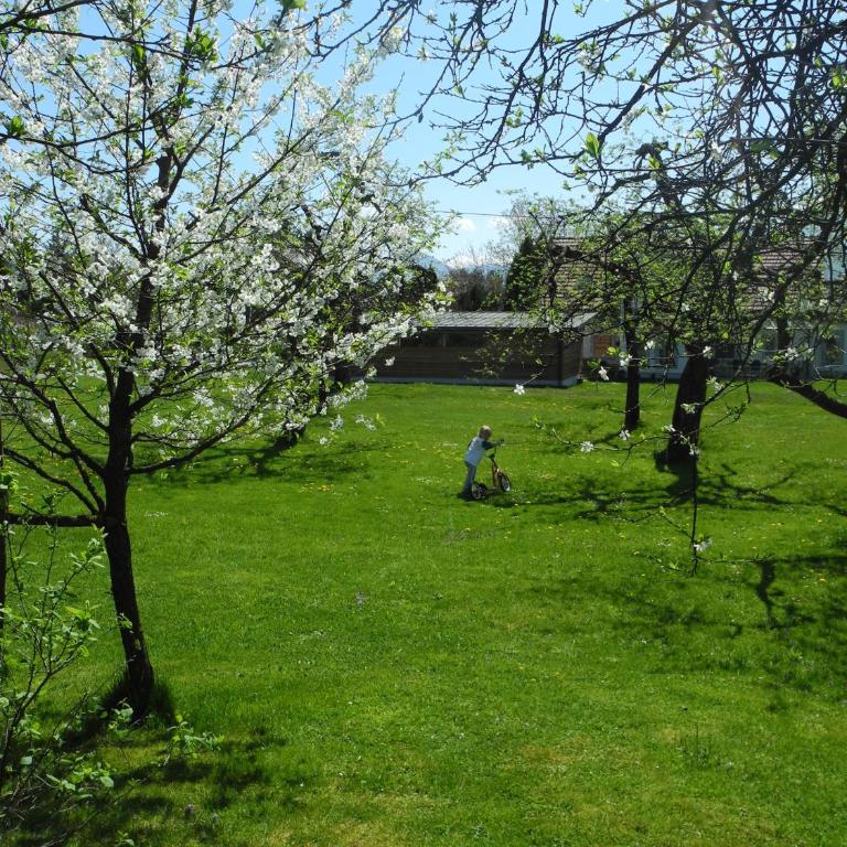 Ferienwohnung Sima - Apartment mit 3 Schlafzimmern - 22