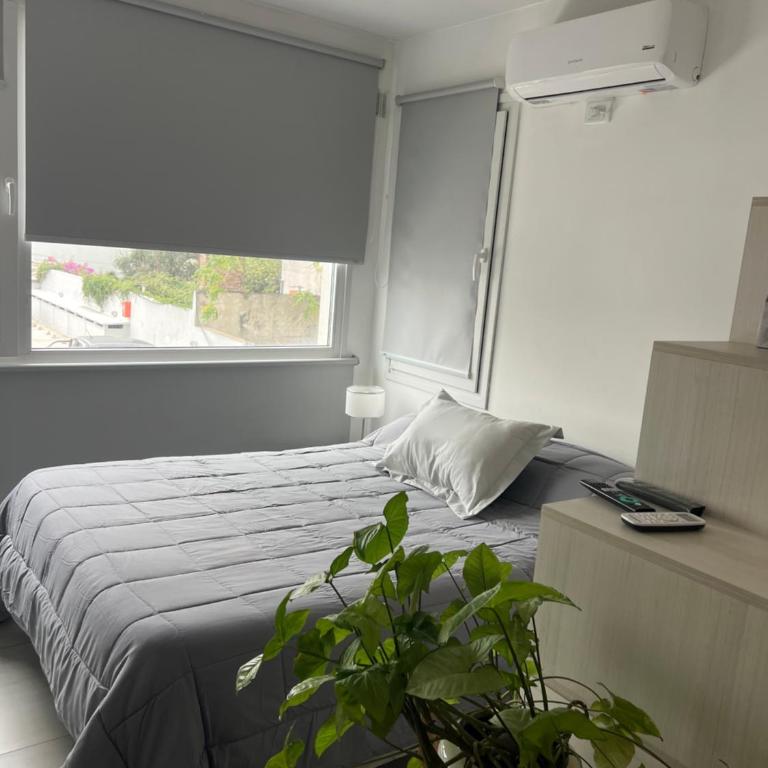 Moderno Mono ambiente - Apartamento de 1 dormitorio - 3
